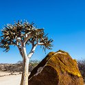 NAM ERO D3716 2016NOV24 019 : 2016, 2016 - African Adventures, Africa, D3716, Date, Erongo, Month, Namibia, November, Places, Southern, Trips, Year
